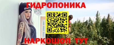 ПСИЛОЦИБИНОВЫЕ ГРИБЫ Краснодар