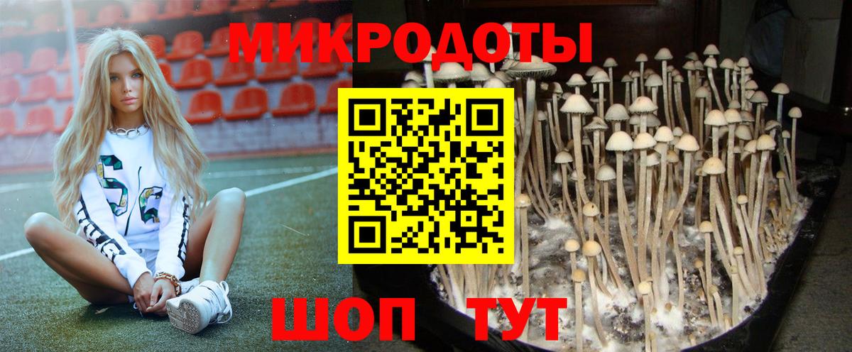 Кинель  Псилоцибиновые грибы Cubensis  Вход с VPN 